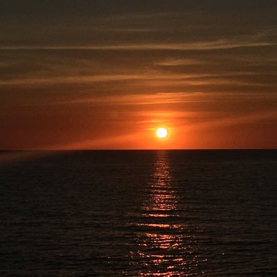 Profile Picture of Stella Mae (@alice92635605) on Twitter