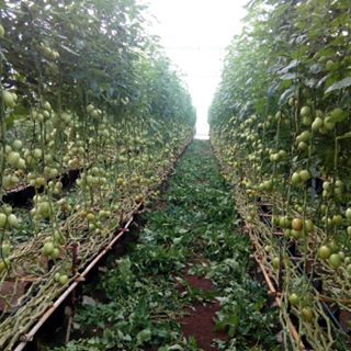 Profile Picture of Chris RoAm (@chris.roam.31) on Facebook