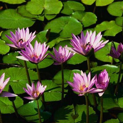 Profile Picture of Pratima Prasad (@pratima_prasadd) on Twitter