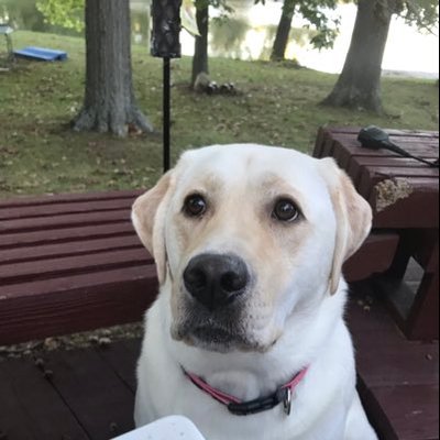 Profile Picture of Adam Rhoads (@AdamRhoads5) on Twitter