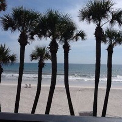 Profile Picture of Kim Feller (@kkfeller12) on Twitter