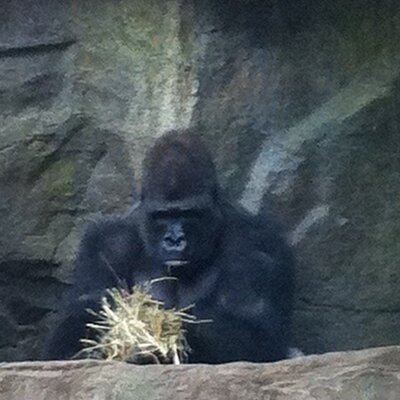 Profile Picture of Michael Beauvais (@mjb622003) on Twitter