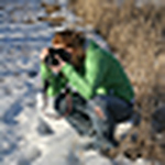 Profile Picture of Elizabeth Ewoldt-rapp (@portraitsbylizzie) on Flickr