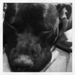 Profile Picture of Erik Weidig (@erikmatthews1116) on Instagram