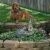 Profile Picture of Janet Distad (@janetdistad5) on Pinterest