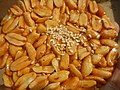 Profile Picture of Panocha manion Wikipedia