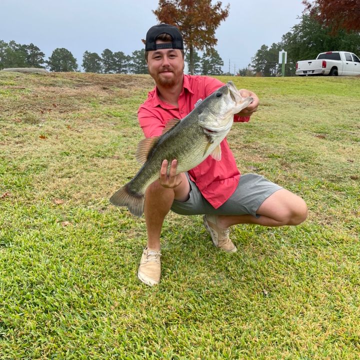 Profile Picture of Paul Goodman (@@paulgoodman36) on Tiktok