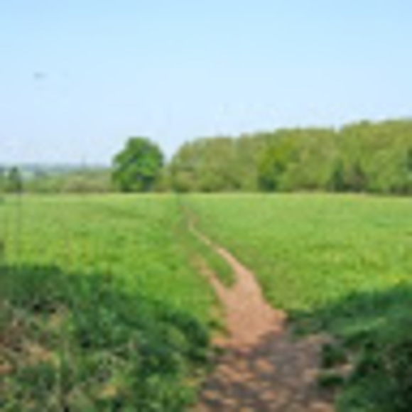 Profile Picture of Dominique Wilkes (@wilkesd09) on Poshmark