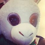Profile Picture of Rachel Adrian Wilcox (@sociallyawkwardextrovert) on Instagram