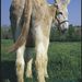 Profile Picture of James DeCook (@decook0091) on Pinterest