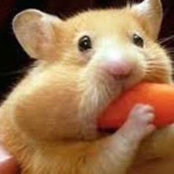 Profile Picture of Bobby Harrelson (@Bobby-Harrelson) on Facebook