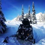 Profile Picture of Blaine Reid🇺🇸🇺🇸 (@blaine__reid) on Instagram