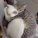 Daniela Pesavento - Facebook Profile Picture of Daniela Pesavento (@daniela.pesavento.3) on Facebook