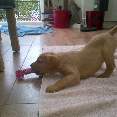 Profile Picture of Aaron (@Aaronblay) on Twitter