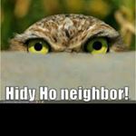 Profile Picture of alex pedroso (@ball_is_life_0417) on Instagram