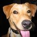 Profile Picture of David Neault (@davidneault54) on Pinterest