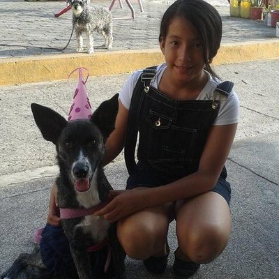 Profile Picture of Genesis Lara (@genesislara2003) on Twitter