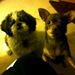 Profile Picture of Jane Wilson (@tappermom_17) on Pinterest