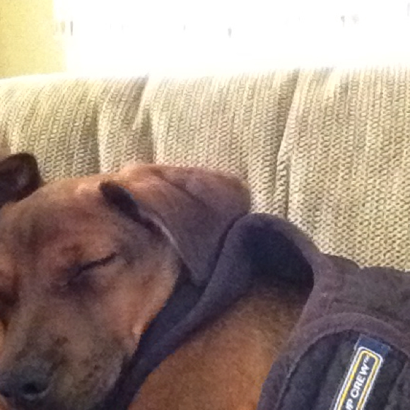 Profile Picture of Dee dee Bender (@dee72273) on Poshmark