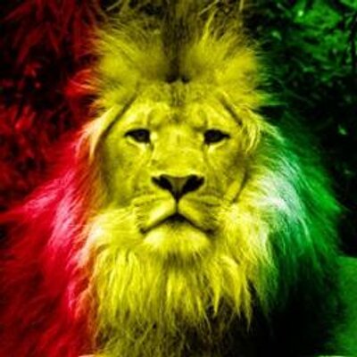 Profile Picture of Noel Shaw (@Noelnoz) on Twitter