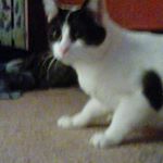 joey shaver - Instagram Profile Picture of joey shaver (@ioe_shaver_jr) on Instagram