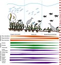 Profile Picture of Abundance (ecology)on Wikipedia