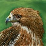 Profile Picture of Terry Strawser (@tmaxarts) on Instagram