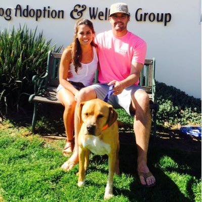 Andy Graham - Twitter Profile Picture of Andy Graham (@@JustAndyGraham) on Twitter