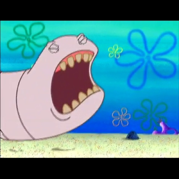 Jackie Sansom - Poshmark Profile Picture of Jackie Sansom (@jerkiebacon) on Poshmark