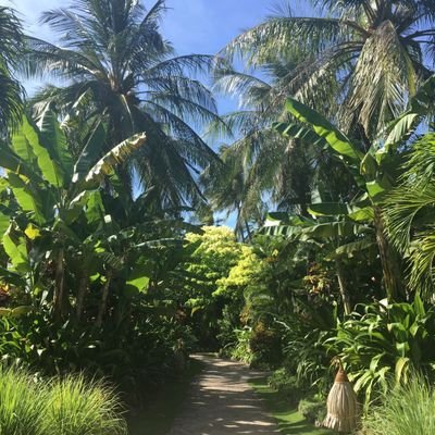 Profile Picture of Joel Hills (@1jhills) on Twitter