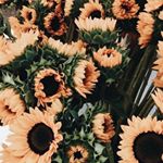 Profile Picture of Ariel 曹綺 (@chiachi0_04) on Instagram