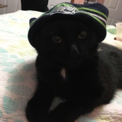 Profile Picture of Chris Tanguay (@craftwizard123) on Twitter