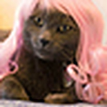 Profile Picture of Catherine Ryan (@the-catherine) on Flickr