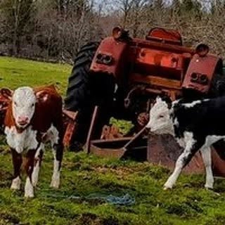 Profile Picture of Loran Adams (@loranadams) on Instagram