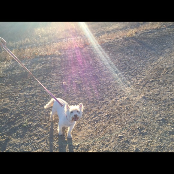 Profile Picture of Marina Zernik (@mar_zer) on Poshmark