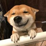 Profile Picture of Mitchell Boyce (@stfu.boyce) on Instagram