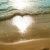 Profile Picture of Amy Schott (@amyschott92) on Pinterest