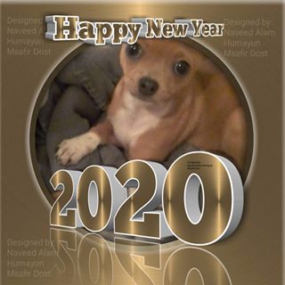 Profile Picture of Diana Falkenberg (@diana.falkenberg.9) on Facebook
