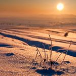 Profile Picture of Sadia Afzal (@sadia.afzal5656) on Instagram