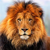 Profile Picture of King Chandler (@kingchandler934) on Youtube