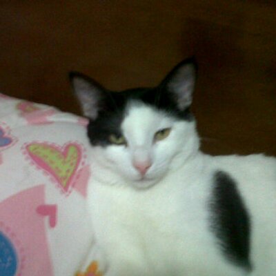 Profile Picture of Rocio Rivas. (@rociorivas9) on Twitter