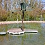 María Lombardo - Instagram Profile Picture of María Lombardo (@yolanda.pt2011) on Instagram