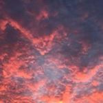 Profile Picture of Tony Goode (@tony_goode) on Instagram