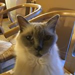 Profile Picture of Steve Skinner (@steve_skinner) on Instagram