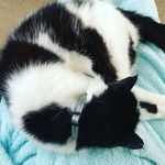 Profile Picture of Laura Cramer (@donaldlamars) on Instagram