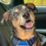 Melanie Shrader - Youtube Profile Picture of Melanie Shrader (@melanieshrader8697) on Youtube