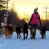 Profile Picture of Amy Plummer (@@amyzstyledogtraining) on Tiktok