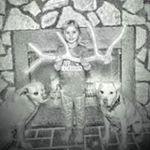 Profile Picture of Brian Vining (@vining.brian) on Instagram