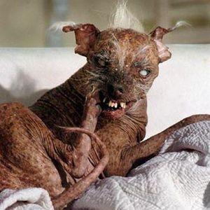 Profile Picture of Christopher Wilborn (@virgo62040) on Myspace