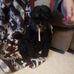Profile Picture of Jacqueline Deschutter (@jacqueline.deschutter.3) on Facebook